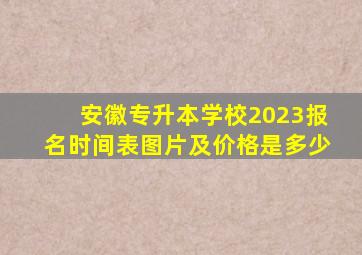 安徽专升本学校2023报名时间表图片及价格是多少