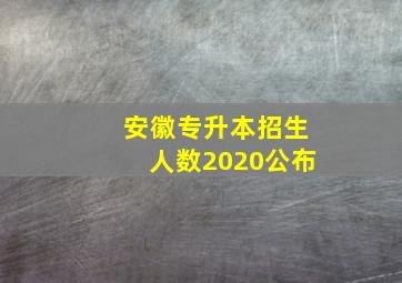 安徽专升本招生人数2020公布