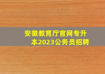 安徽教育厅官网专升本2023公务员招聘