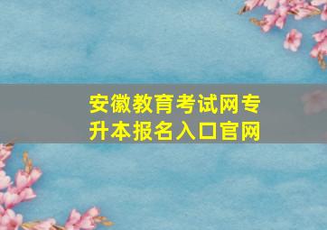 安徽教育考试网专升本报名入口官网