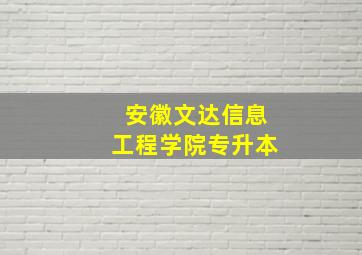 安徽文达信息工程学院专升本