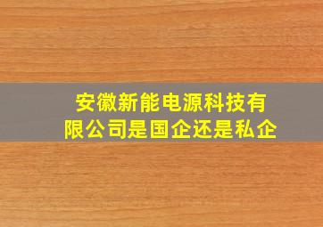 安徽新能电源科技有限公司是国企还是私企