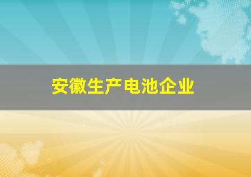 安徽生产电池企业