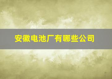 安徽电池厂有哪些公司