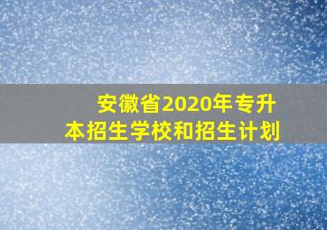 安徽省2020年专升本招生学校和招生计划