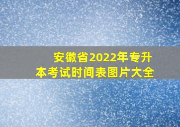 安徽省2022年专升本考试时间表图片大全