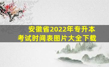 安徽省2022年专升本考试时间表图片大全下载