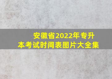 安徽省2022年专升本考试时间表图片大全集