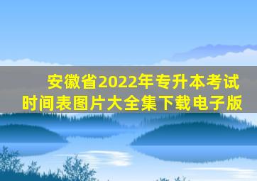 安徽省2022年专升本考试时间表图片大全集下载电子版