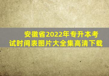 安徽省2022年专升本考试时间表图片大全集高清下载