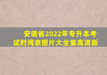 安徽省2022年专升本考试时间表图片大全集高清版