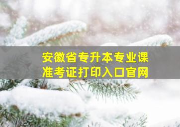 安徽省专升本专业课准考证打印入口官网