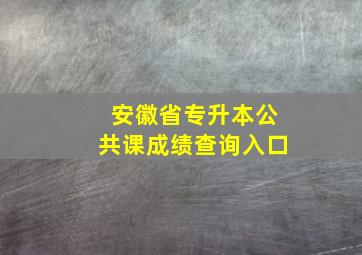 安徽省专升本公共课成绩查询入口