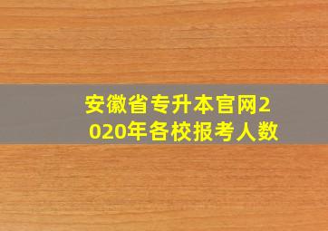 安徽省专升本官网2020年各校报考人数