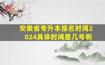 安徽省专升本报名时间2024具体时间是几号啊