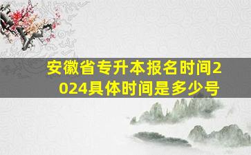 安徽省专升本报名时间2024具体时间是多少号