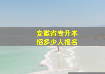 安徽省专升本招多少人报名