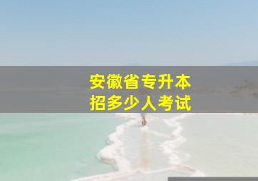 安徽省专升本招多少人考试