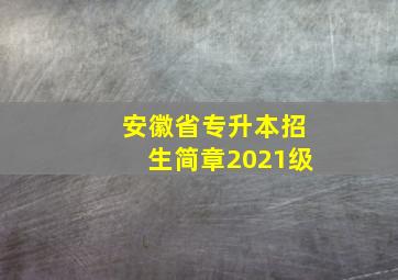 安徽省专升本招生简章2021级