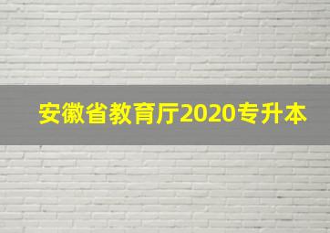 安徽省教育厅2020专升本