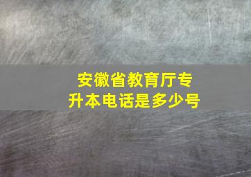 安徽省教育厅专升本电话是多少号