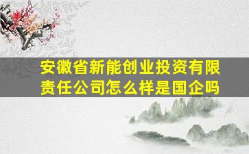 安徽省新能创业投资有限责任公司怎么样是国企吗