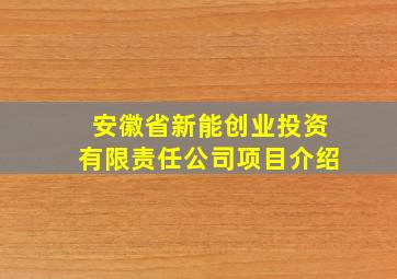 安徽省新能创业投资有限责任公司项目介绍