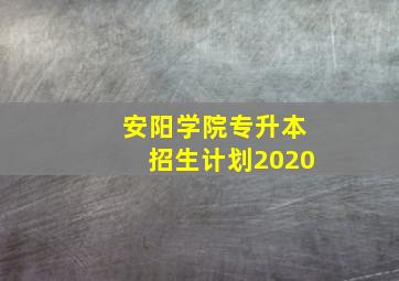 安阳学院专升本招生计划2020