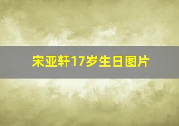 宋亚轩17岁生日图片