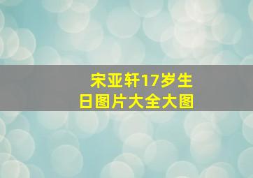 宋亚轩17岁生日图片大全大图