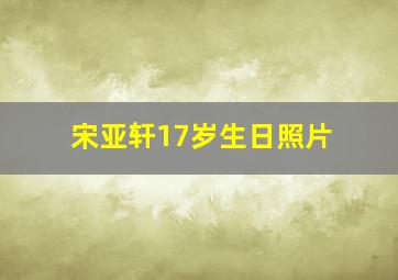 宋亚轩17岁生日照片