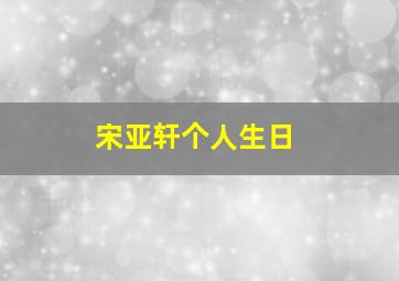 宋亚轩个人生日