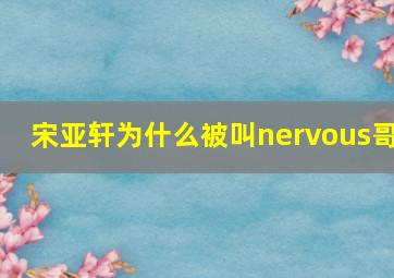 宋亚轩为什么被叫nervous哥