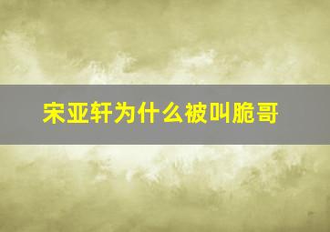 宋亚轩为什么被叫脆哥