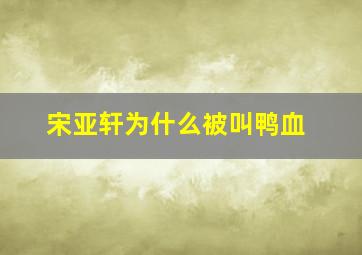 宋亚轩为什么被叫鸭血