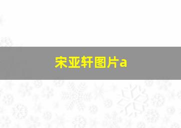 宋亚轩图片a