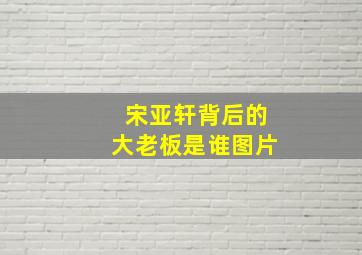 宋亚轩背后的大老板是谁图片