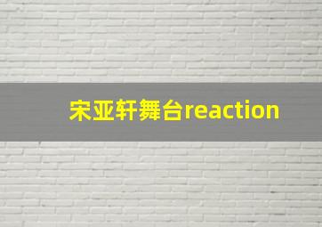 宋亚轩舞台reaction