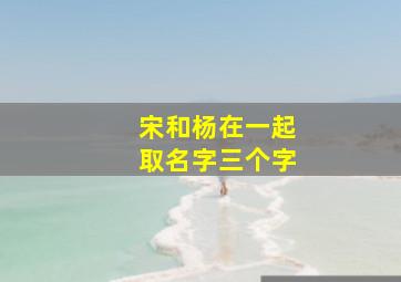 宋和杨在一起取名字三个字