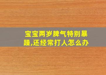 宝宝两岁脾气特别暴躁,还经常打人怎么办