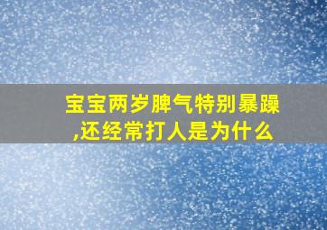 宝宝两岁脾气特别暴躁,还经常打人是为什么