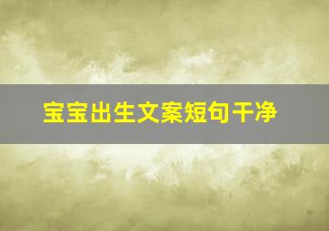 宝宝出生文案短句干净