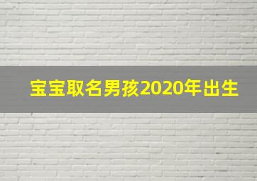 宝宝取名男孩2020年出生