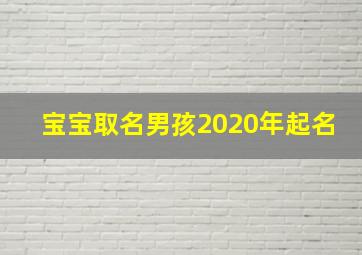 宝宝取名男孩2020年起名