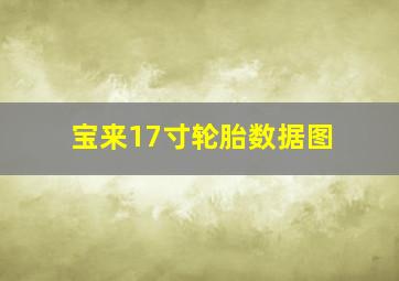 宝来17寸轮胎数据图