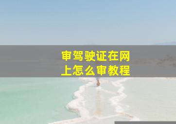 审驾驶证在网上怎么审教程