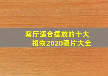 客厅适合摆放的十大植物2020图片大全