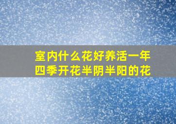 室内什么花好养活一年四季开花半阴半阳的花