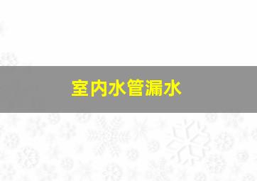 室内水管漏水