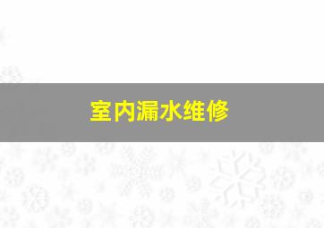 室内漏水维修